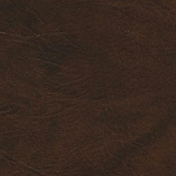 Picture of Walnut color